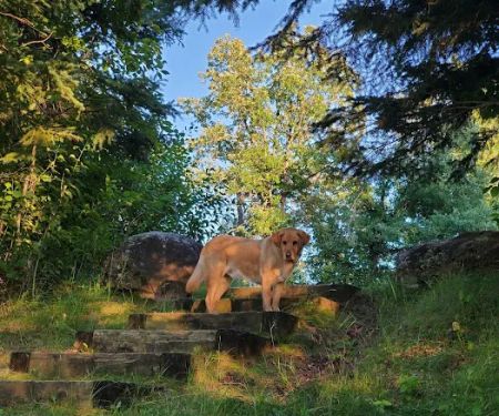 Coffee Pot landing campsite