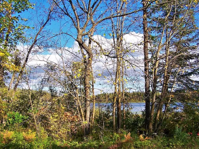 Big Elbow Lake Lodge and Campground LLP Picture 6