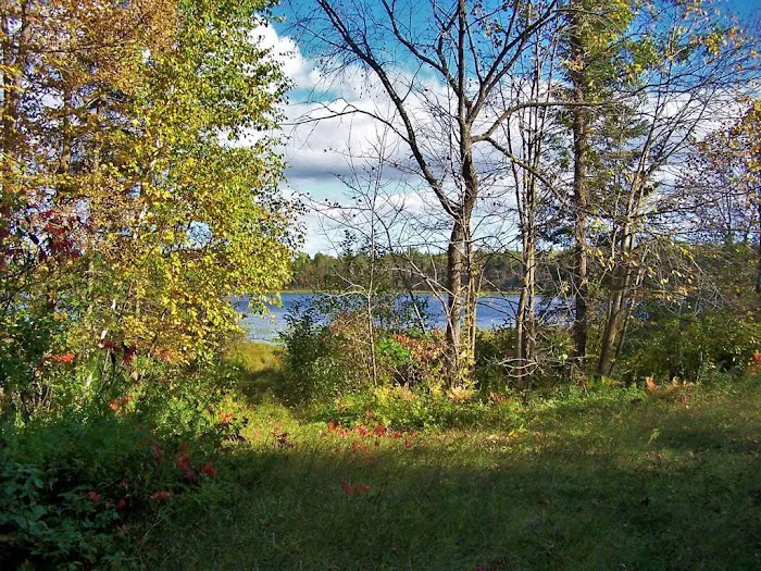 Big Elbow Lake Lodge and Campground LLP Picture 7