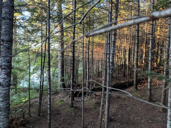 East Poplar River Camp Picture 9
