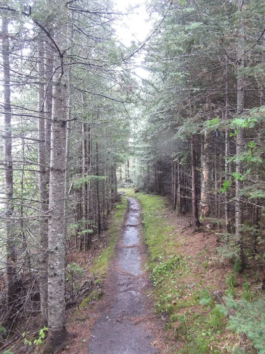 East Poplar River Camp Picture 1