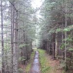 East Poplar River Camp