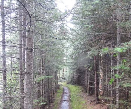 East Poplar River Camp