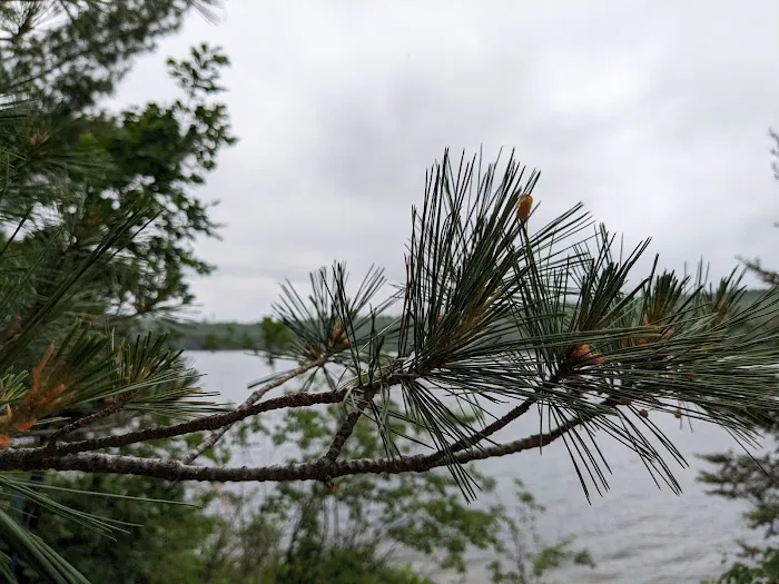 Camp 1224 Ensign Lake Picture 3