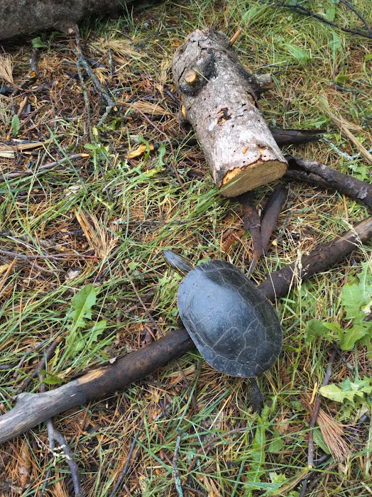 Camp 1224 Ensign Lake Picture 5