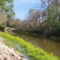 Bergeron's On-Bayou Campground ico