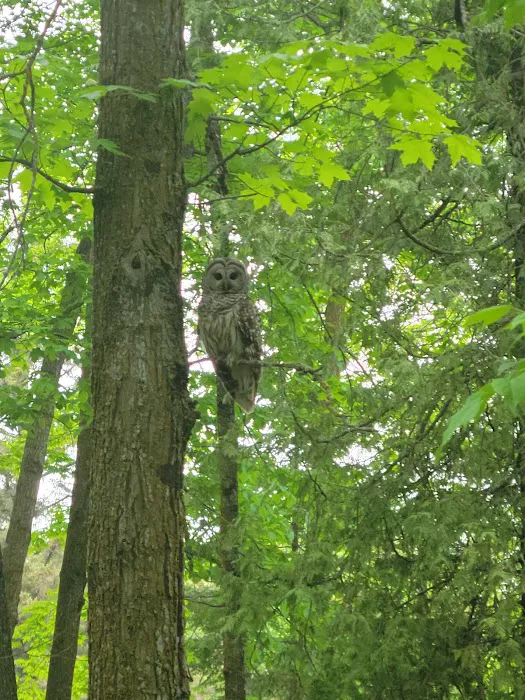 Pine Tree Park Municipal Campground Picture 6