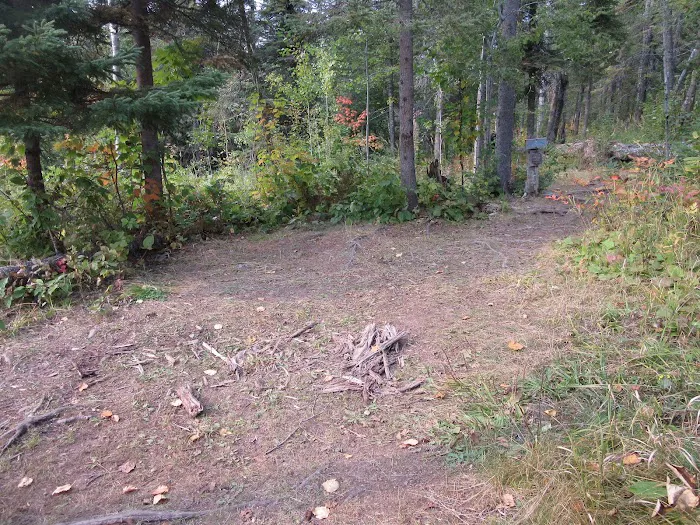Camp Creek Campsite Picture 8
