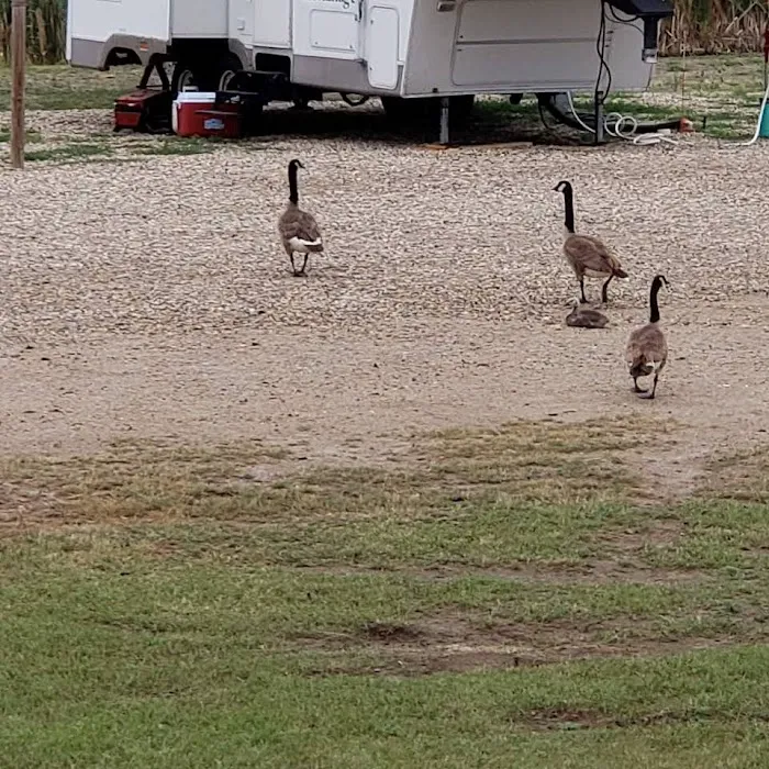 Bigfoot Campground & RV Park Picture 9