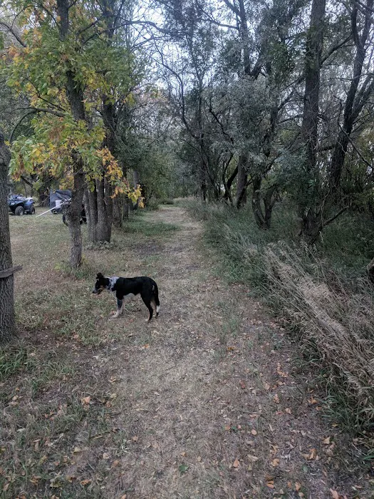 Primitive Campground Picture 1