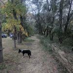 Primitive Campground