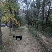 Primitive Campground ico