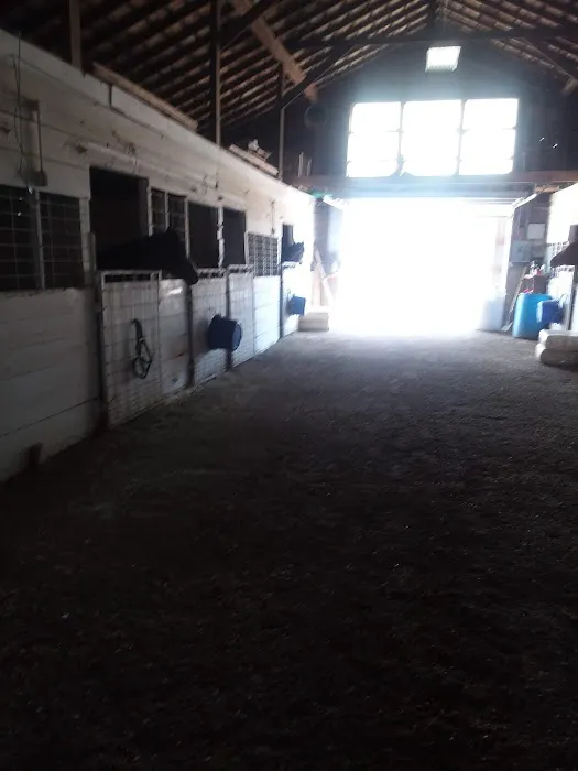 Smith's Bay Campground Picture 1