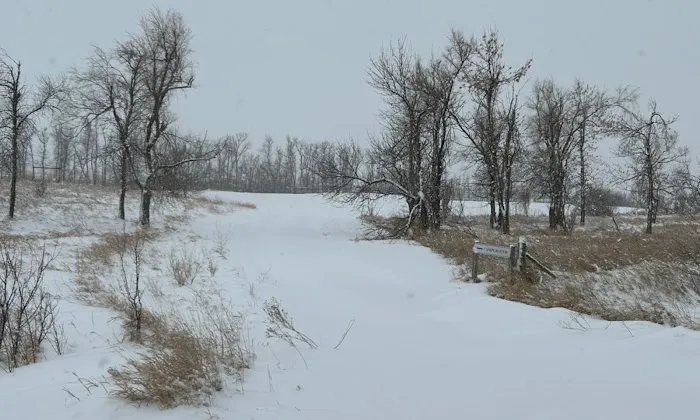 Whitestone Hill Campground Picture 3