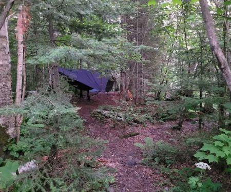 Woods Creek Camp