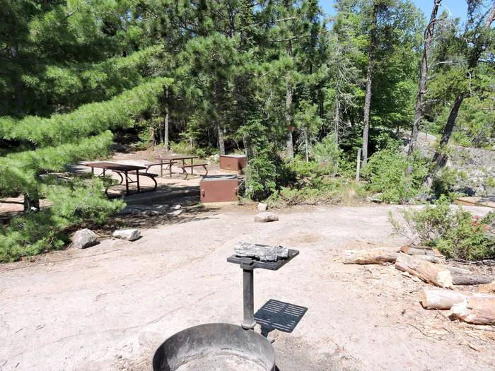 Partridge Point S28 Campsite Picture 2