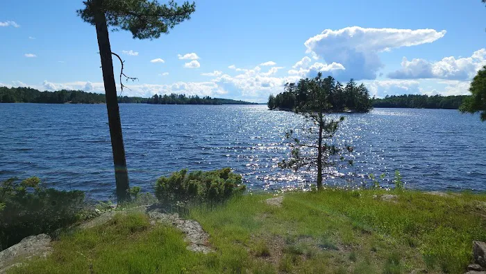 Lost Bay Island K17 Campsite Picture 3