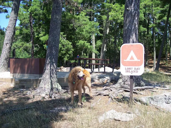 Lost Bay Island K17 Campsite Picture 6
