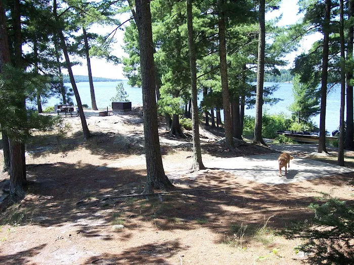 Lost Bay Island K17 Campsite Picture 5