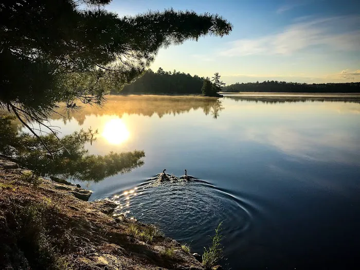 Lost Bay Island K17 Campsite Picture 1