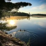 Lost Bay Island K17 Campsite