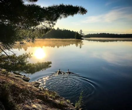 Lost Bay Island K17 Campsite