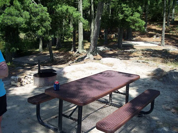 Lost Bay Island K17 Campsite Picture 9