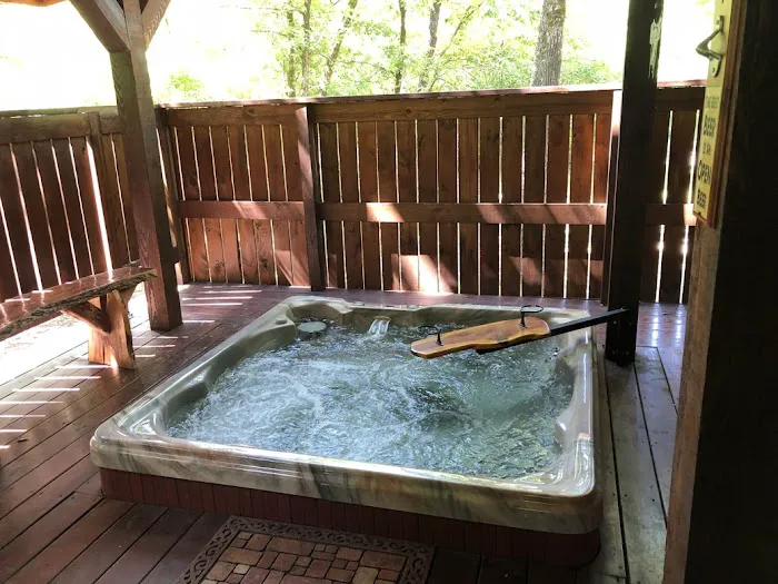 Chillin Cabin Picture 9