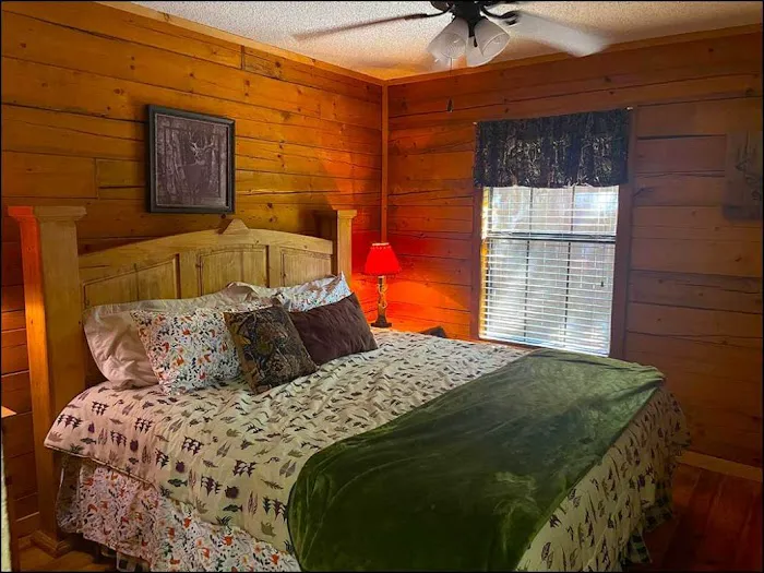 Chillin Cabin Picture 1