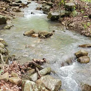 Black Bear Ridge Picture 3