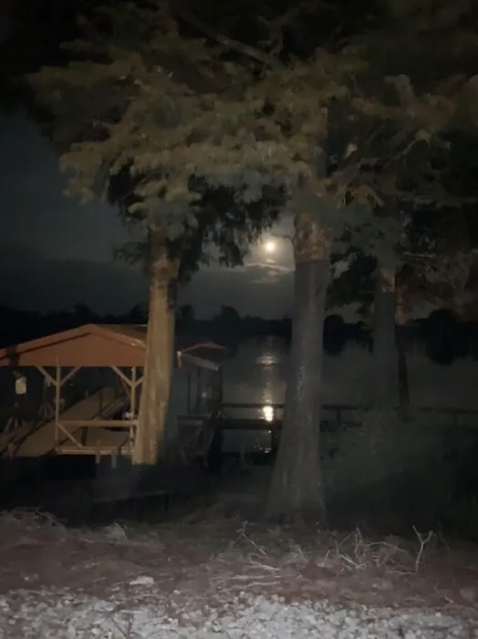 Pier Happiness Picture 6