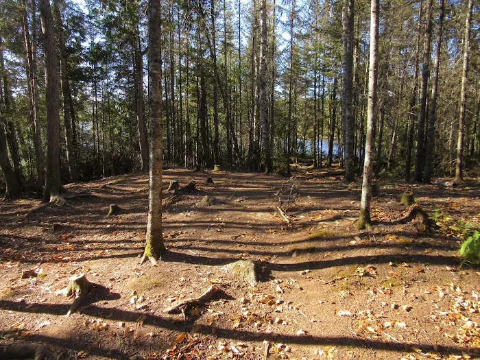 BWCA Campsite #888 Picture 8