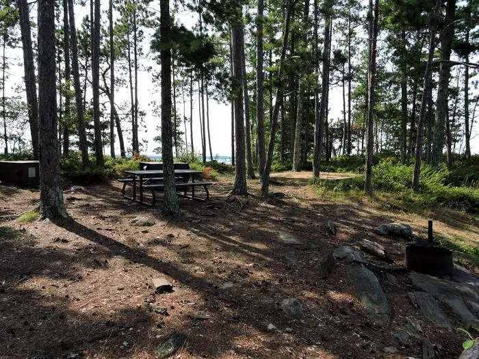 Pat Smith Island N30 Campsite Picture 6