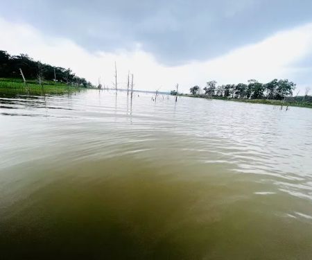 Potato Hills Central Campground