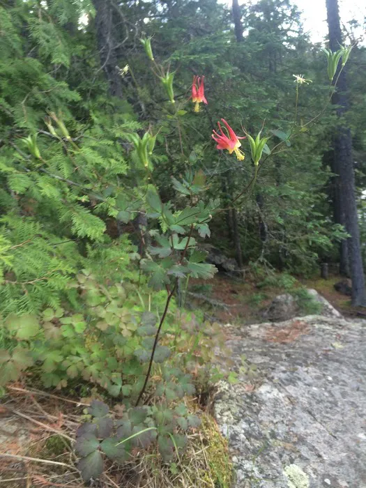 HWY 18 RV Park Picture 4