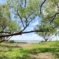 Timber Road Campground ico