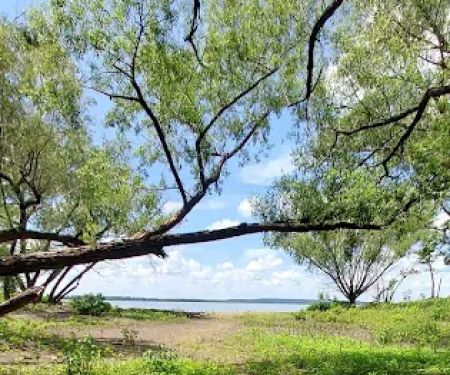 Timber Road Campground