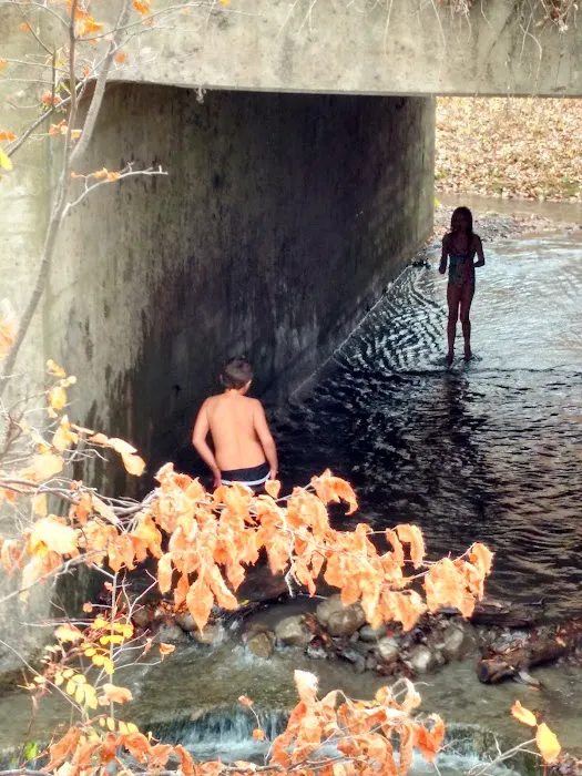 Little Yellowstone Campground Picture 5