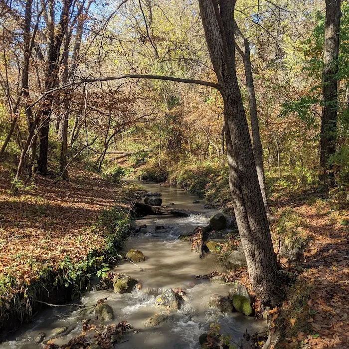 Little Yellowstone Campground Picture 4
