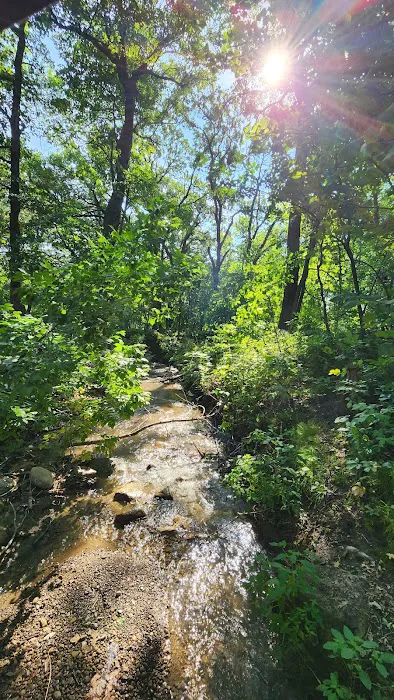 Little Yellowstone Campground Picture 3