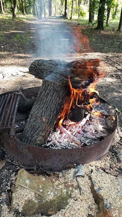 Osage Cove Picture 4