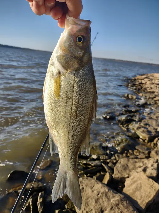 Osage Cove Picture 2