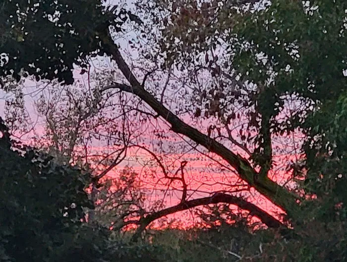 East Campground Picture 3