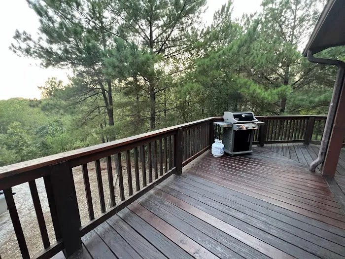 Panorama Cabin Picture 4