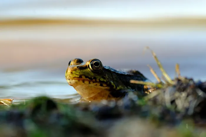 Three Lakes Campground Picture 4