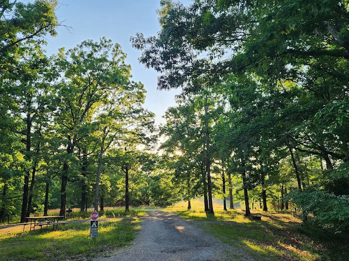 Thousand Trails Cherokee Landing Picture 9