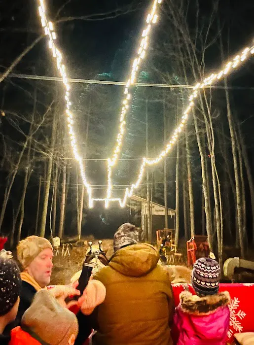 Wedges Creek Hideaway Picture 7