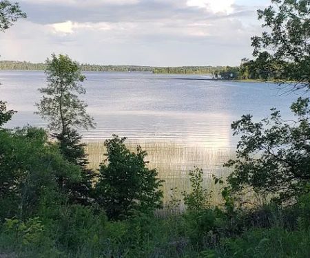 Whaley's Resort & Campground