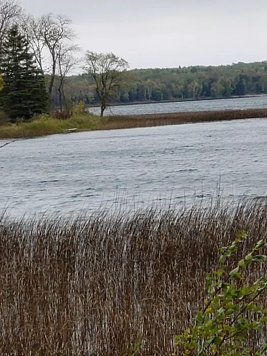 Whaley's Resort & Campground Picture 5