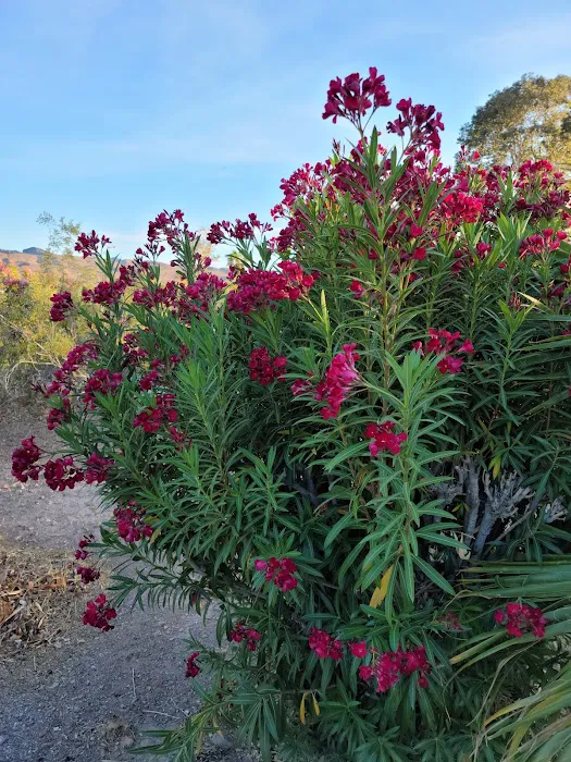 Las Vegas Bay Campground Picture 10